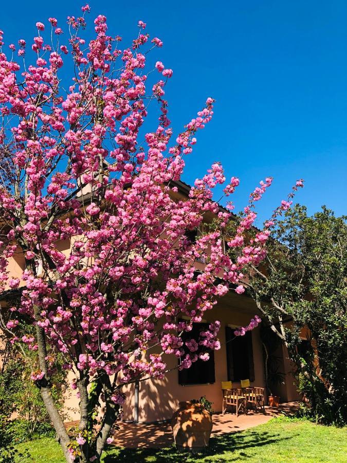 Bed and Breakfast Opera Deluxe Ravenna Esterno foto