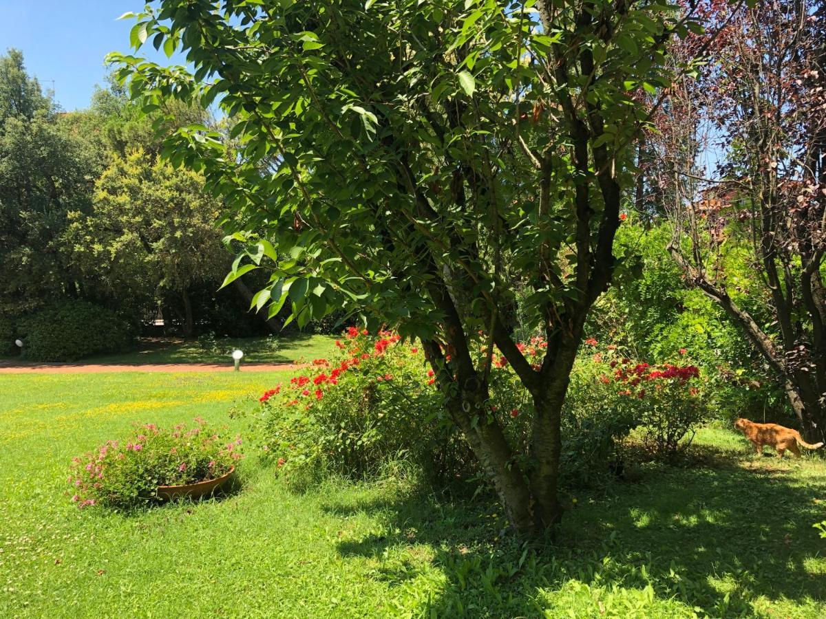 Bed and Breakfast Opera Deluxe Ravenna Esterno foto